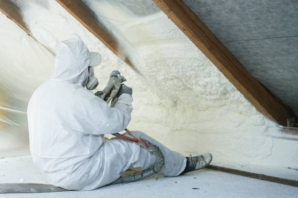 Best Eco-Friendly or Green Insulation Solutions in Sacramento, CA